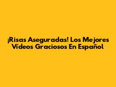 ¡Risas Aseguradas! Los Mejores Vídeos Graciosos En Español