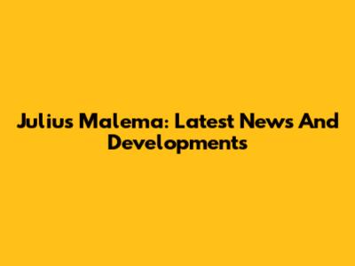Julius Malema: Latest News And Developments